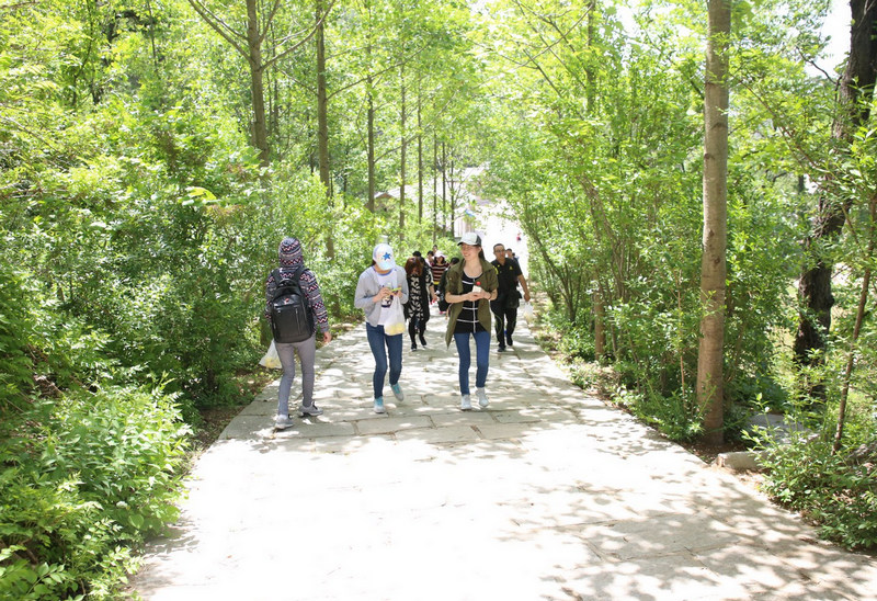 煙臺智聯網絡昆崳山春游