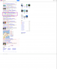 網站優化快速見效案例