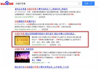 博士達優化效果展示